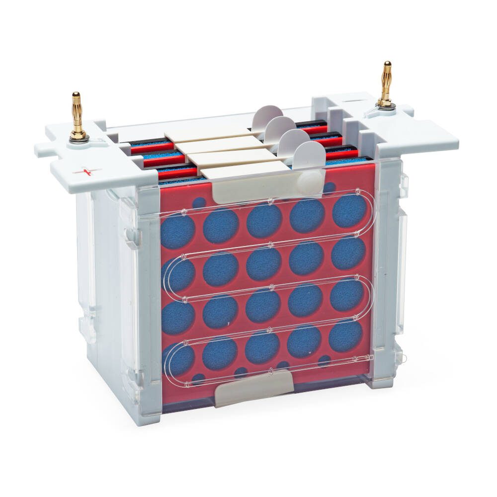OmniBlot Mini Wide Insert, Includes 4 Cassettes and 16 Fibre Pads