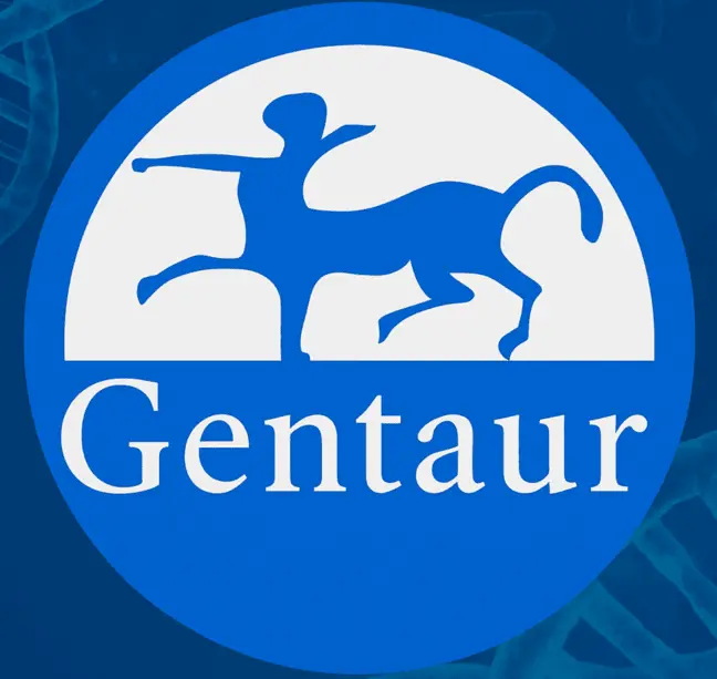 Osteoblast Growth Medium Kit - 250 ml