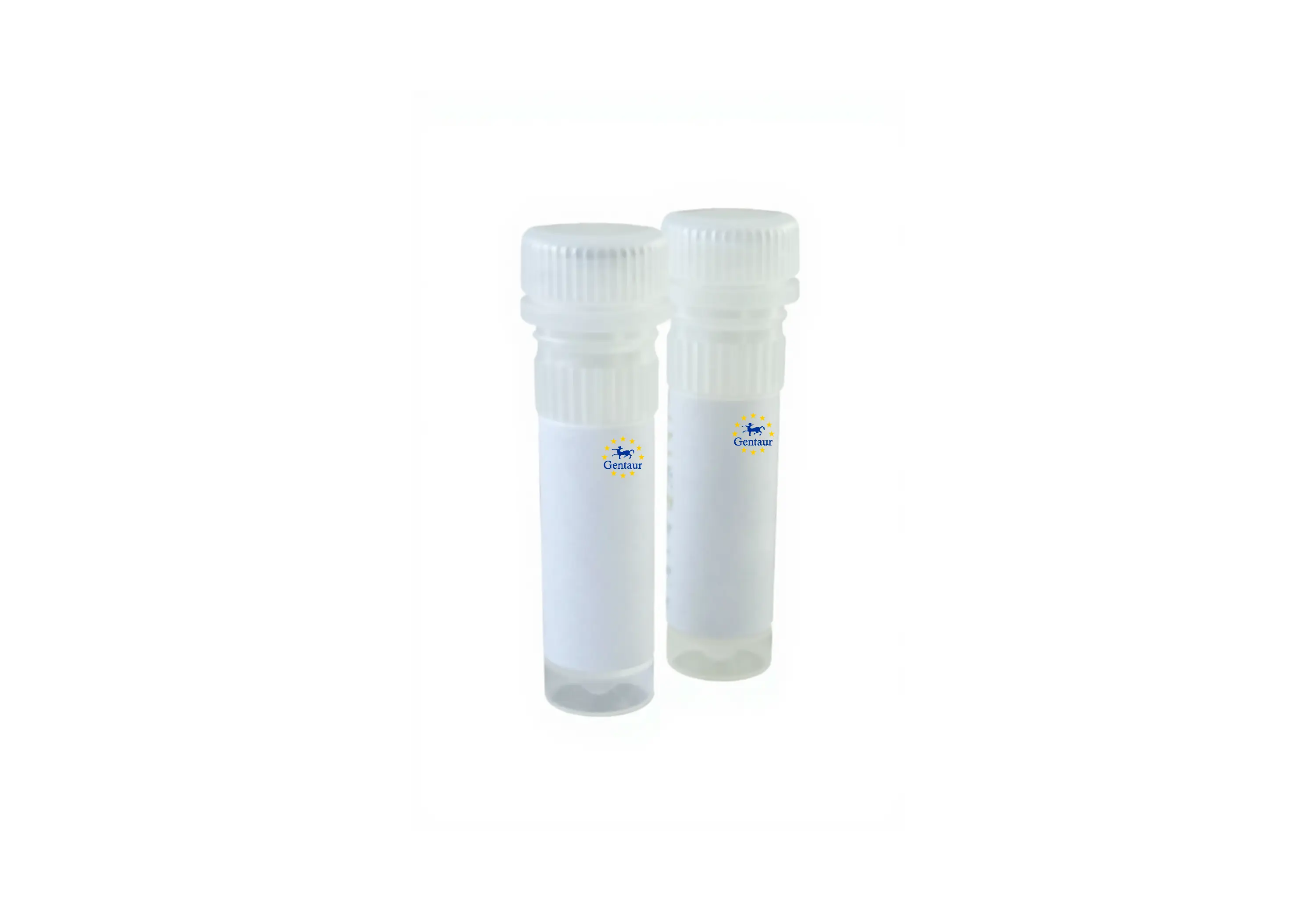  dna plasmid prep kit maxi 